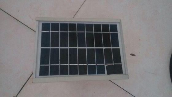 Continuous Power Supply Ultrasonic Bird Repeller , Low Voltage Ultrasonic Bird Deterrent Intelligent Radar Detection